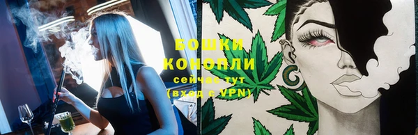 твердый Богданович