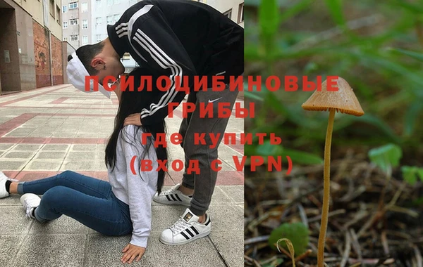 наркотики Богородицк