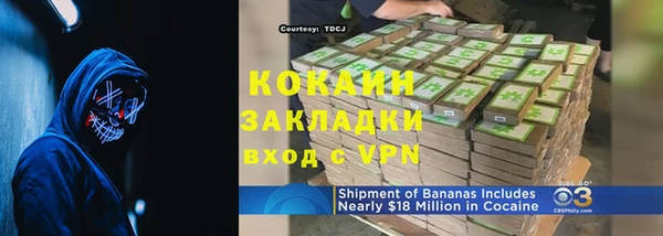ГАЛЛЮЦИНОГЕННЫЕ ГРИБЫ Сясьстрой
