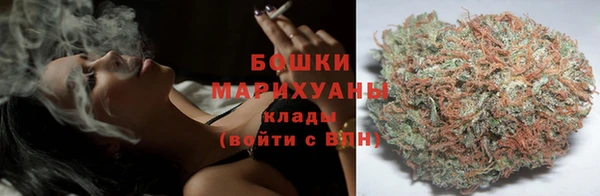 твердый Богданович