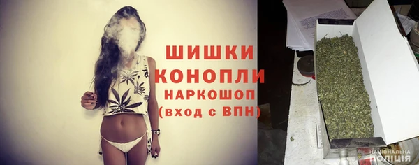 дурь Тайга