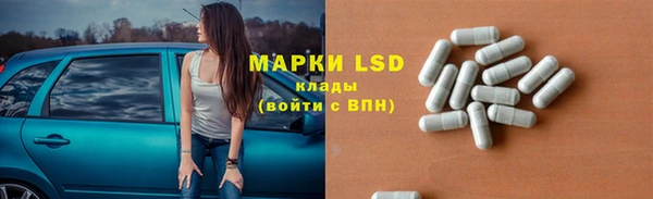 ГАЛЛЮЦИНОГЕННЫЕ ГРИБЫ Сясьстрой