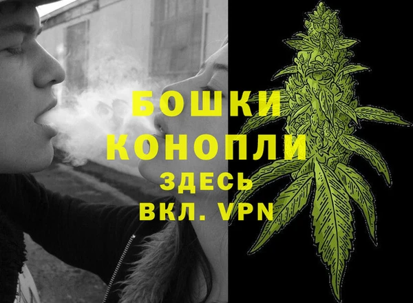 твердый Богданович