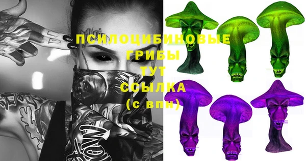 хмурый Богородск