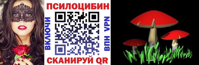 Галлюциногенные грибы Magic Shrooms Купить закладки Аргун